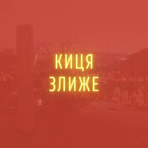Киця злиже