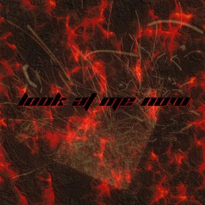 Look at Me Now (Remix)
