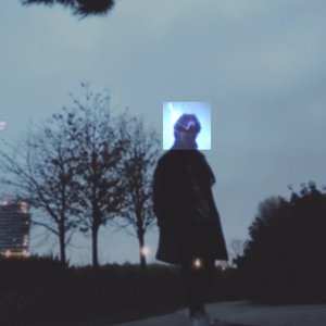 Grandfather Forest 的头像