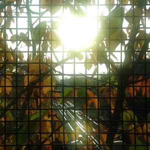 Morning Sun (The Best of jh)