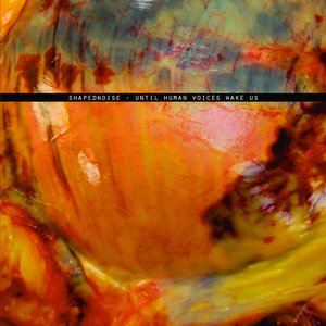 Until Human Voices Wake Us - EP