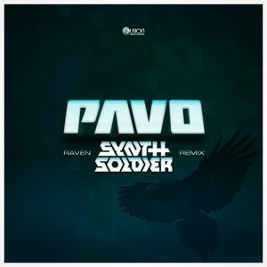 Raven (Synthsoldier Remix)