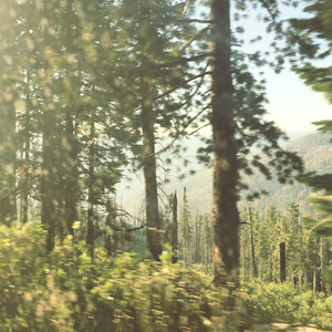 Kina Grannis - Yellow Lyrics - Zortam Music