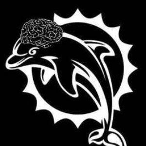 Dolphin Brain 的头像