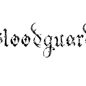 Bloodguard 的头像