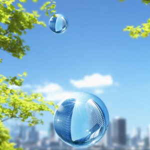 Sustainable Future Outlook