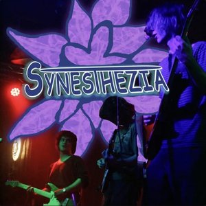 Synesthezia のアバター