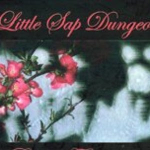 Little Sap Dungeon 的头像