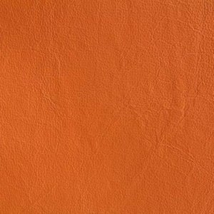 Agenda - Single