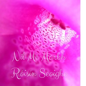 Níl Mé Marbh - Single