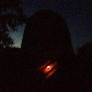 Into The Back of Beyond 的头像