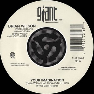 Your Imagination / Your Imagination [A Cappella] [Digital 45]
