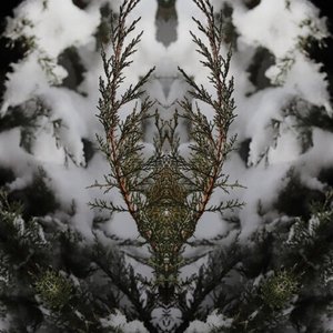 Return of Winter In Whispers