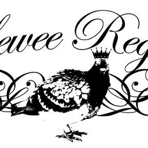 lewee regal 的头像