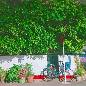 Waltz in small garden - EP