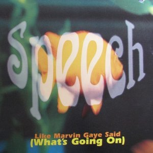 Like Marvin Gaye Said (What's Going On)