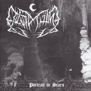 Totentanz II / Portrait in Scars