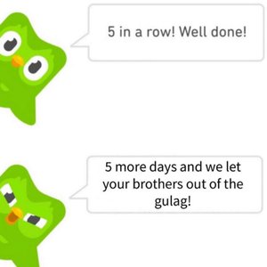 Image for 'Duolingo'