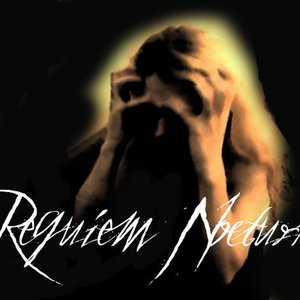 Requiem Nocturne 的头像