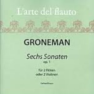 Albertus Groneman 的头像