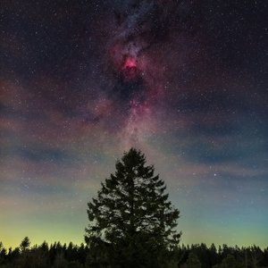 Walking on Air - Single