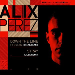 Down The Line/Stray (Break/Icicle Remixes)