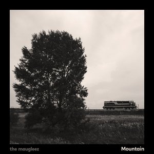Mountain - Single
