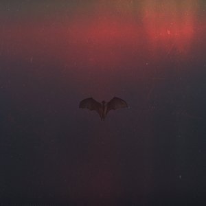 Nightfall // Ravenous