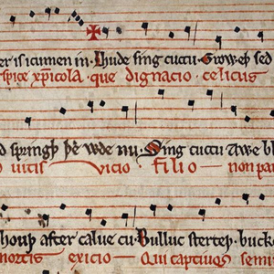 Anonymous photo provided by Last.fm