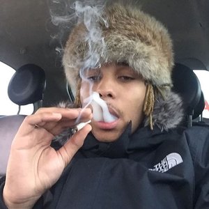 Zola 的头像