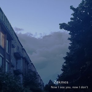Now I See You, Now I Don't - Single
