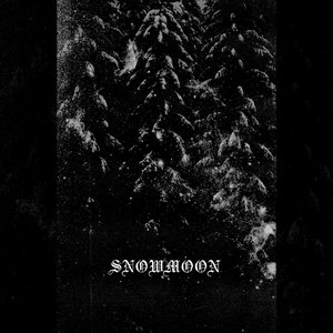 SnowMoon 的头像