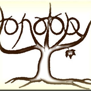 tonotopy 的头像