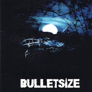 Bulletsize