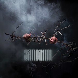 ЗАПОМНИ