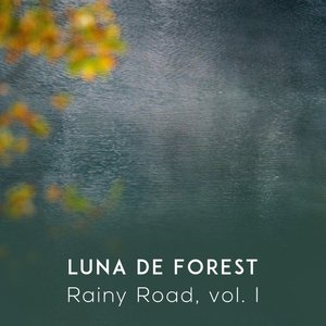 Rainy Road, vol. I
