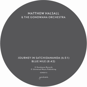 Journey in Satchidananda / Blue Nile