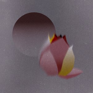 散る前に