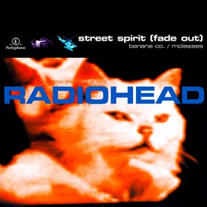 Immagine per 'Street Spirit (Fade Out)'