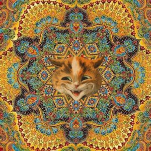 HALLUCINOGENEALOGY