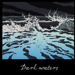 “Dark waters”的封面