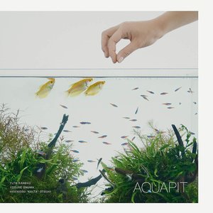 AQUAPIT