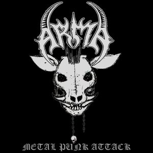 Image pour 'Metal Punk Attack'