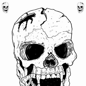 Bild för 'Bleak Skull'
