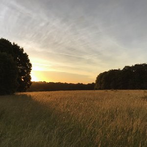The Other Without 2