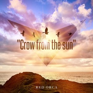 Crow from the sun