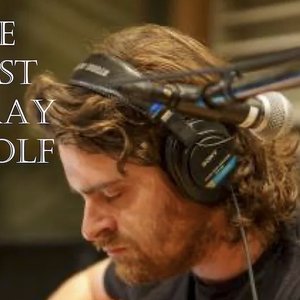 The Last Gray Wolf 的头像