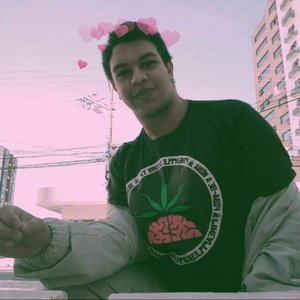 Mallone 的头像