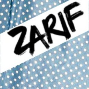 Image for 'Zarif Acoustic'