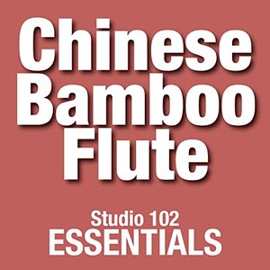 Bild für 'Chinese Bamboo Flute Orchestra'